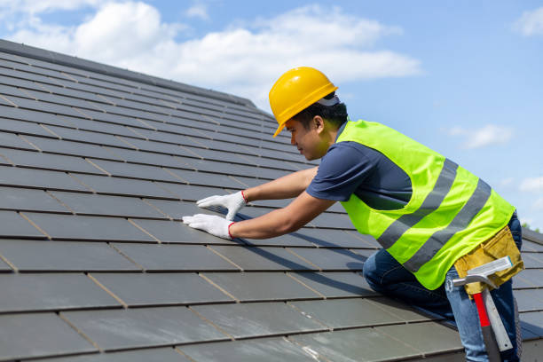 Best Roof Maintenance Services  in Blennerhassett, WV