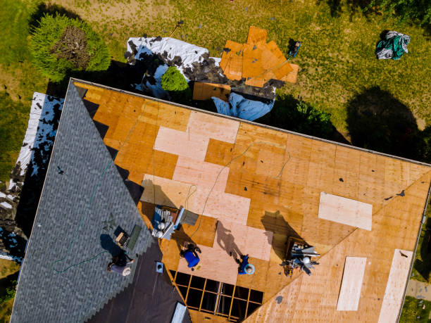 Best Roof Gutter Cleaning  in Blennerhassett, WV